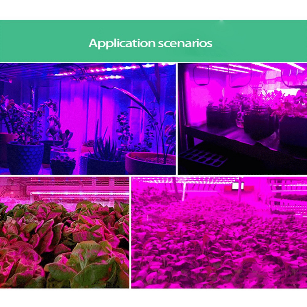 Plant Grow Light Full Spectrum - ABUH-5V 5 Meter Plant Grow Lamp