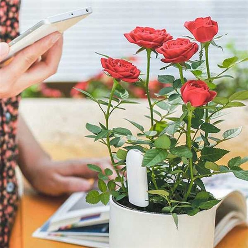 ABVG-Flora Smart Flower Monito - Plant Sensor recension och pris