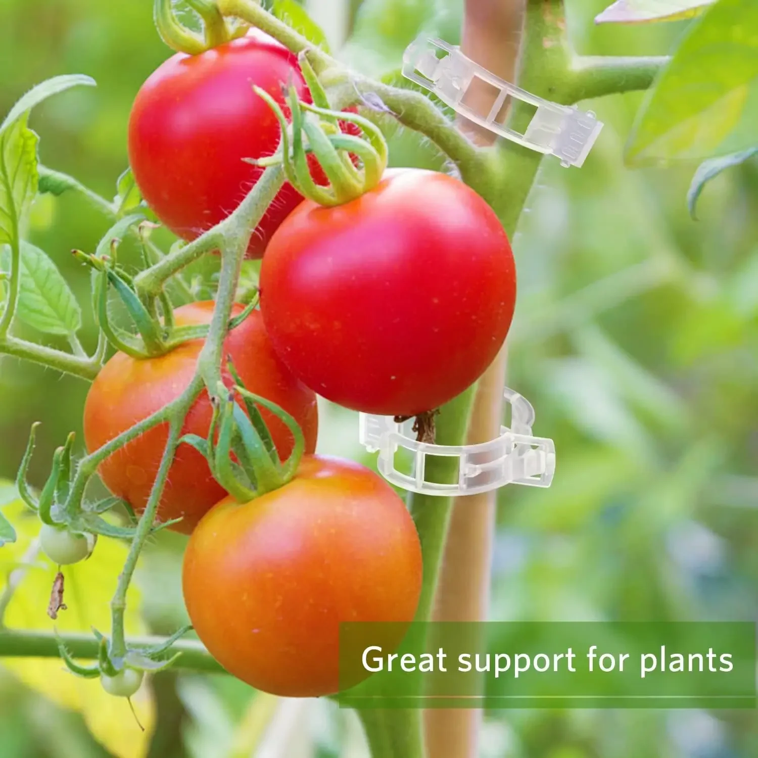 Plant Support Clips Reusable P - Smart Garden Kit recension och pris
