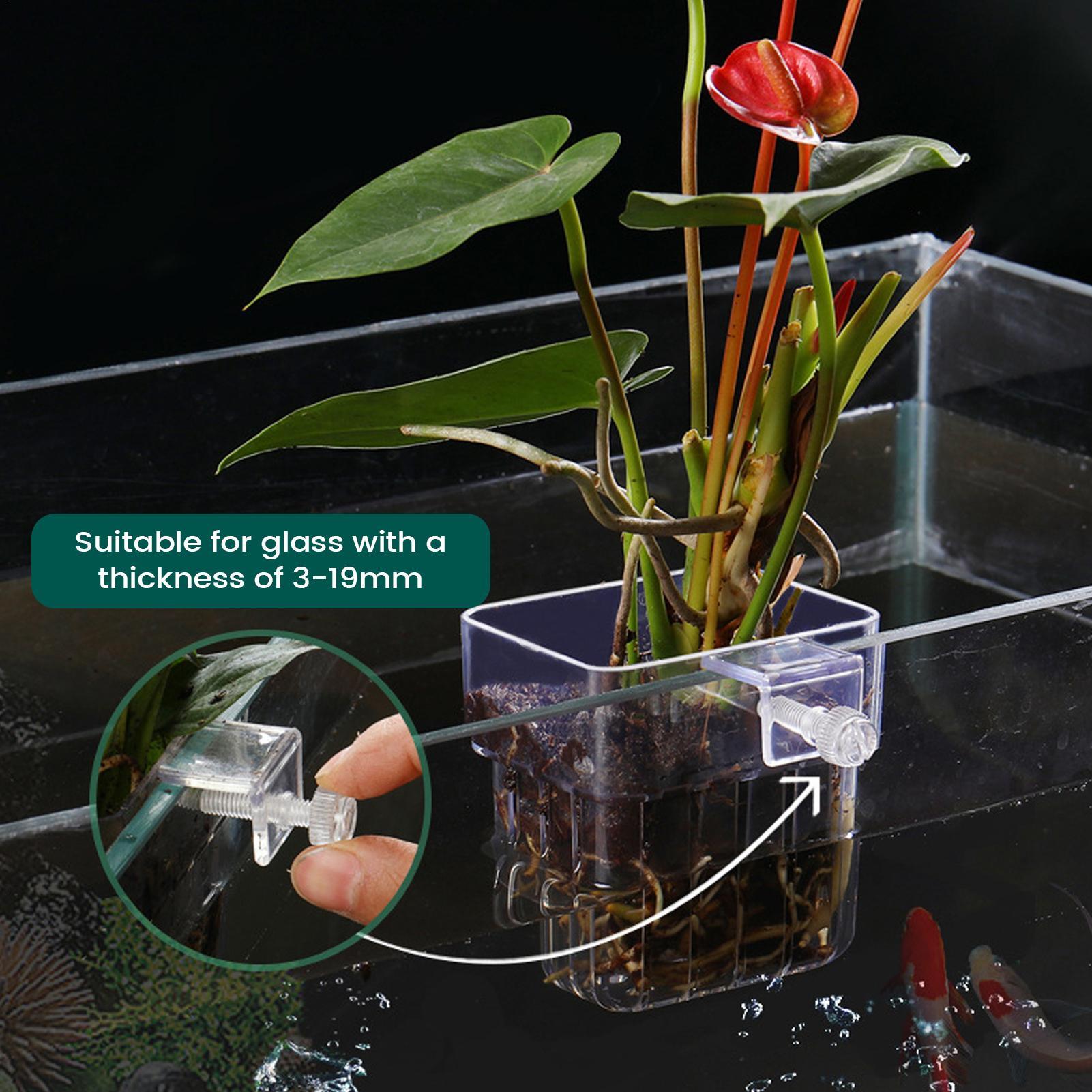 Aquarium Plant Holder Transpar - Hydroponic Grow Pod recension och pris
