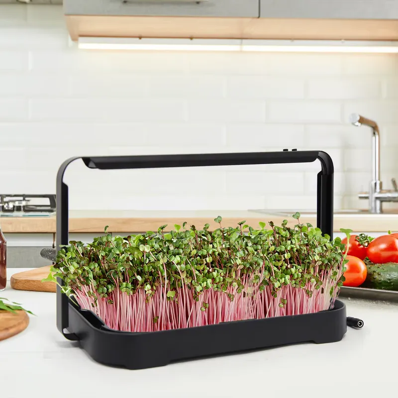 Hydroponic Tray Indoor Microgr - Smart Garden System recension och pris
